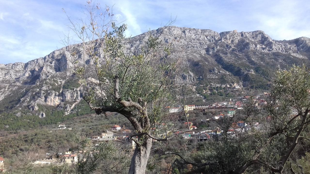 Kruja Hostel Exterior photo
