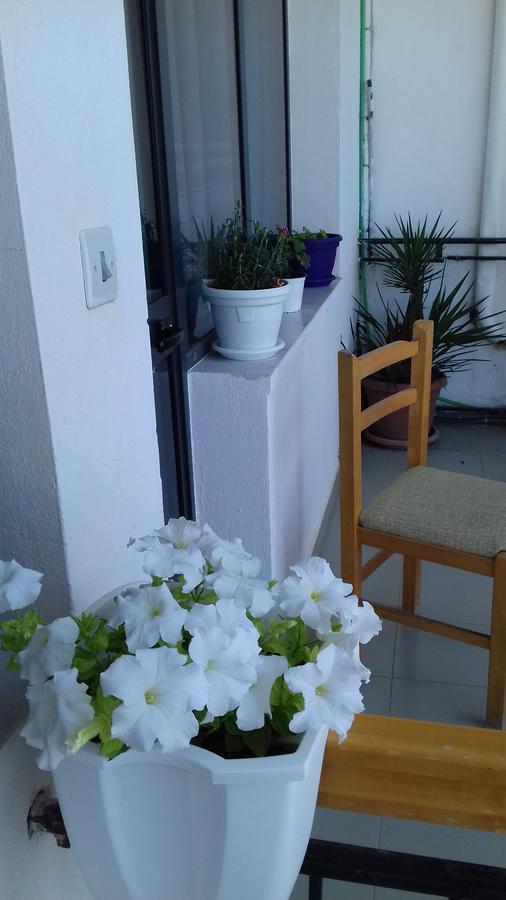 Kruja Hostel Exterior photo